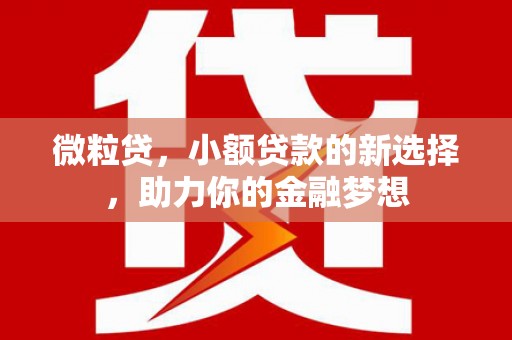 丰满微粒贷，小额贷款的新选择，助力你的金融梦想