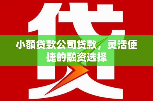 田阳小额贷款公司贷款，灵活便捷的融资选择