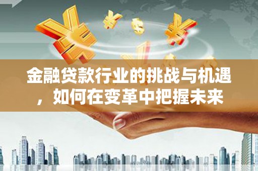 雨城金融贷款行业的挑战与机遇，如何在变革中把握未来