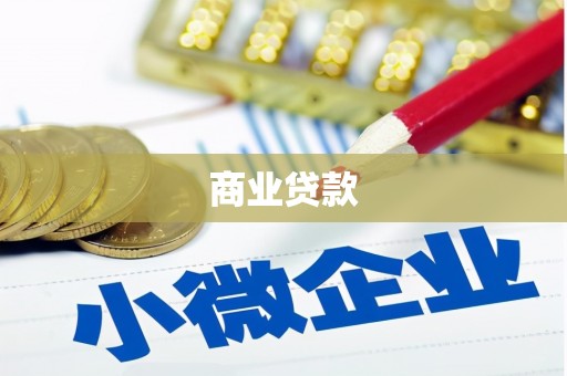 和美商业贷款