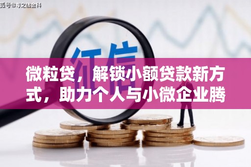 安顺微粒贷，解锁小额贷款新方式，助力个人与小微企业腾飞