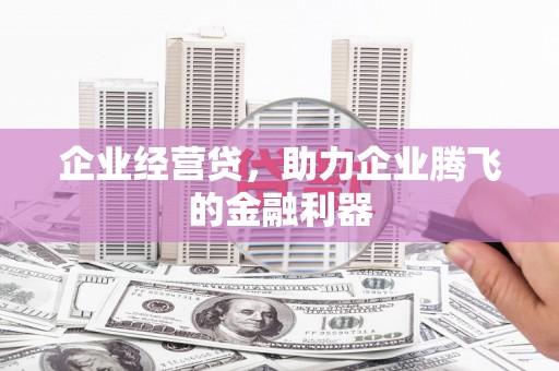 肥东企业经营贷，助力企业腾飞的金融利器