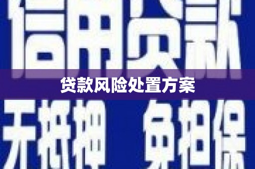石林贷款风险处置方案