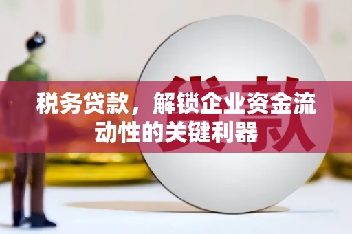 东川税务贷款，解锁企业资金流动性的关键利器