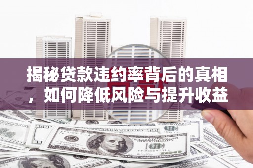清丰揭秘贷款违约率背后的真相，如何降低风险与提升收益