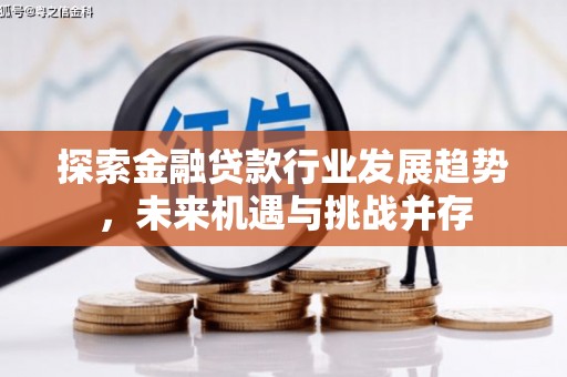 离岛探索金融贷款行业发展趋势，未来机遇与挑战并存