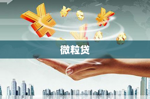 浦北微粒贷